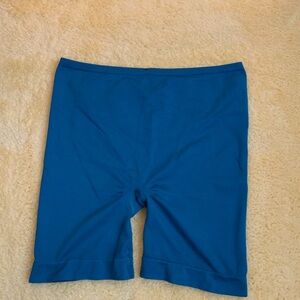 NWT Anthropologie Teal Shorts